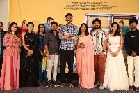 Narayana And Co Movie Teaser Launch